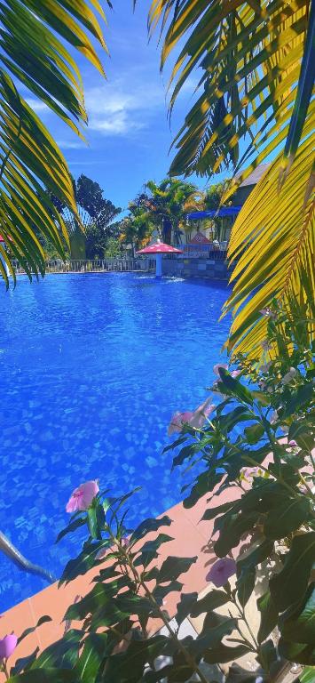 Bao Dien Guesthouse, điểm dừng chân ấm áp giữa lòng thành phố Bảo Lộc dành cho tín đồ du lịch yêu sự bình yên