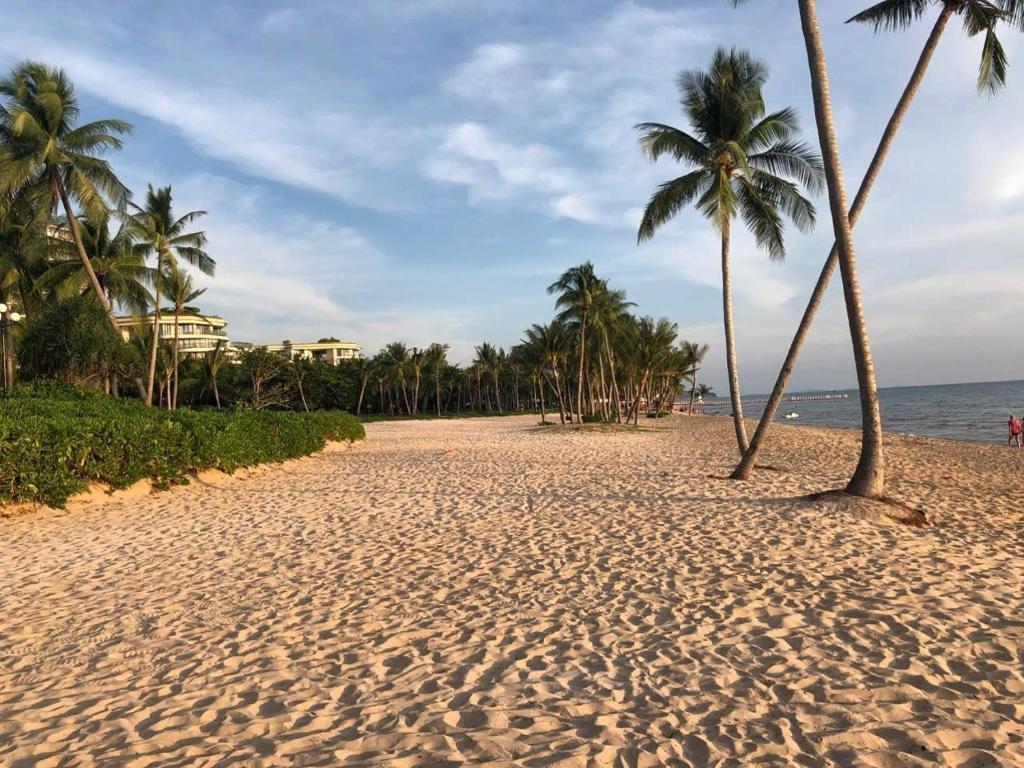 Sir Albert Beach Hotel, Khám phá Sir Albert Beach Hotel Phú Quốc, không gian nghỉ dưỡng xanh mát, resort Phú Quốc view đẹp