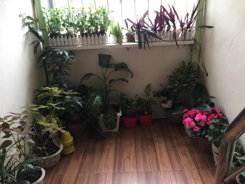 AURORA House, điểm đến cho nhóm bạn yêu trải nghiệm và BBQ