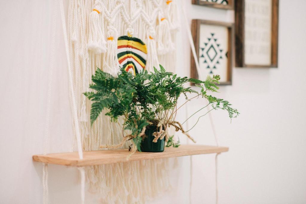 MiaCasaHanoi, Căn hộ trung tâm Hà Nội với giường King, Netflix & rooftop chill, giặt là miễn phí