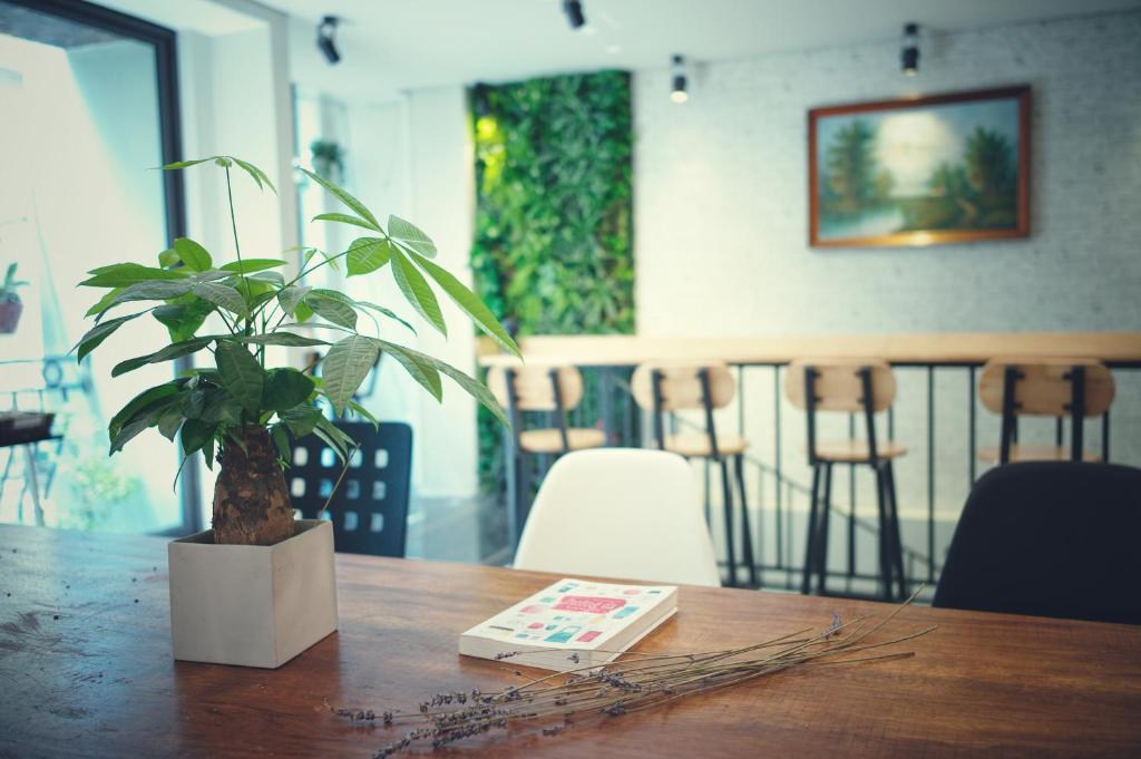 Nghỉ dưỡng tại khách sạn Tofu’s House, cảm nhận hơi thở yên ả của Hà Nội